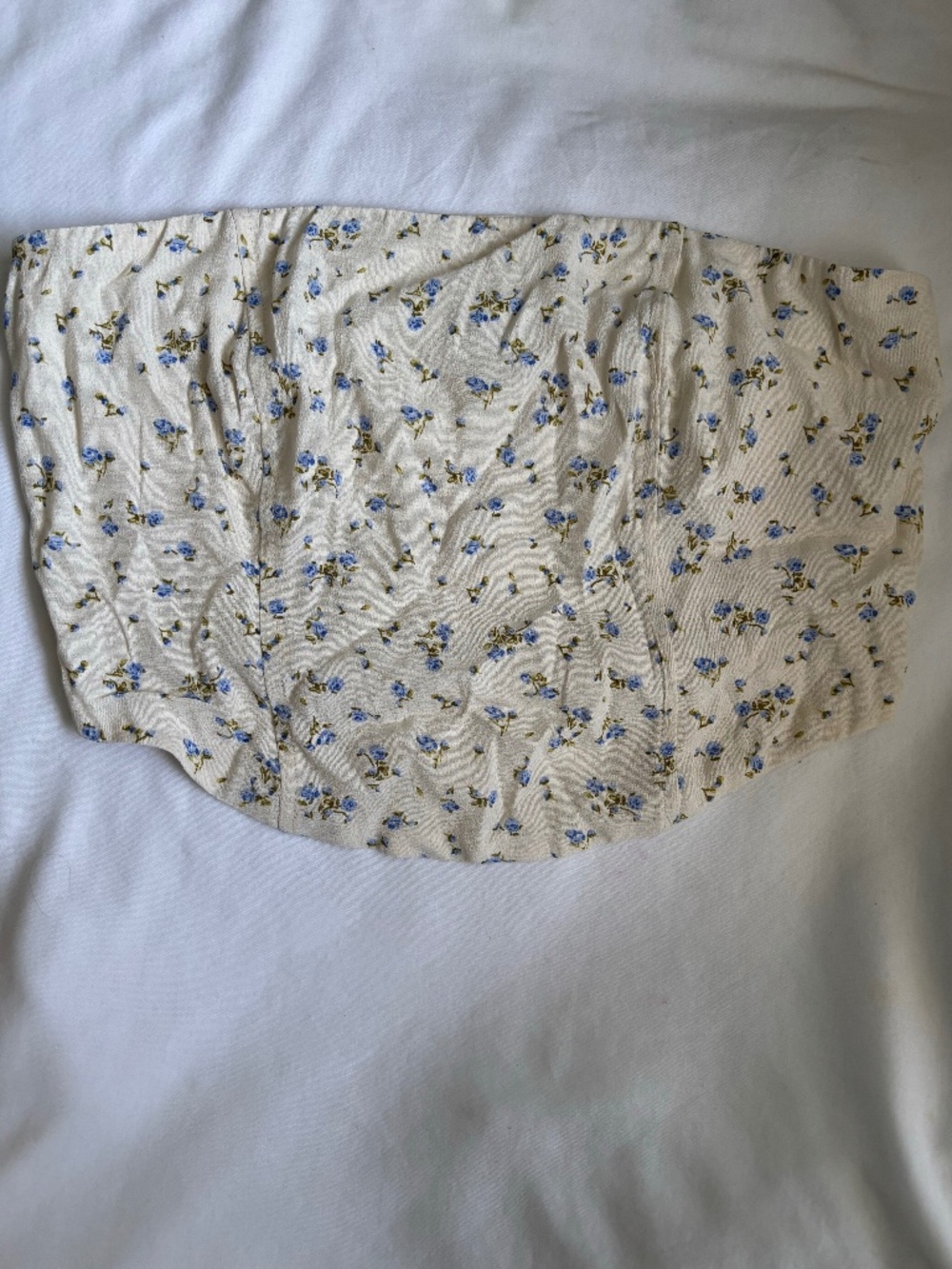 Wild Fable Cream & Light Blue Dainty Floral Crop Corset Top